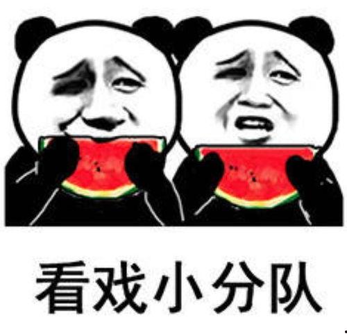 娱乐吃瓜群头像,揭秘明星幕后生活的一扇窗