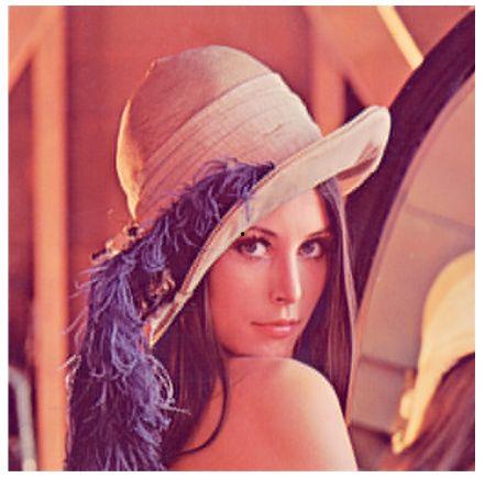 演讲女图片,演讲中的魅力与智慧展现